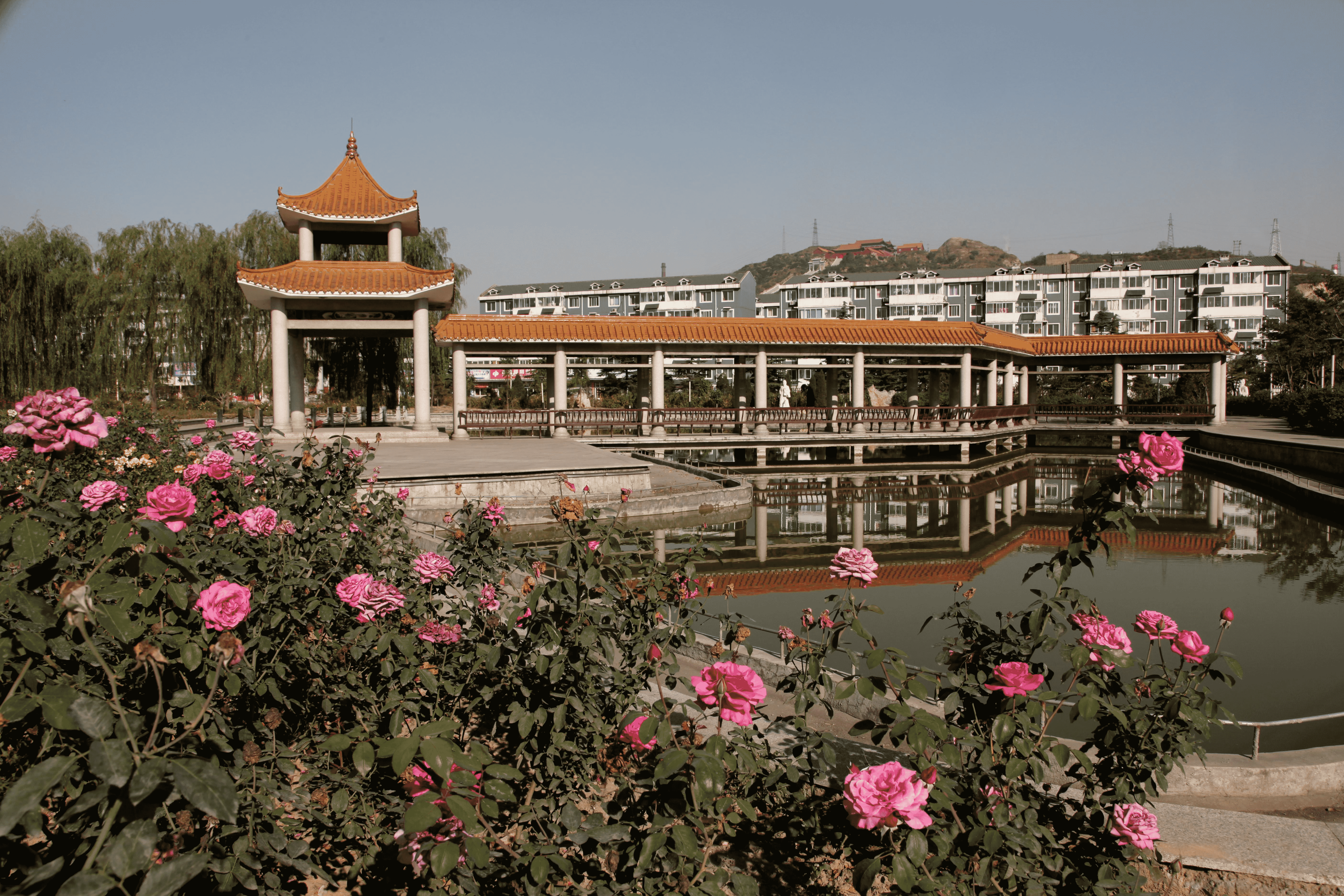 图片15 (1).png 图片15 (1).png